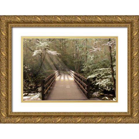 Footbridge Gold Ornate Wood Framed Art Print with Double Matting by Nan