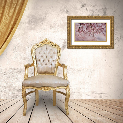 Joy of Spring Gold Ornate Wood Framed Art Print with Double Matting by Weisz, Irene