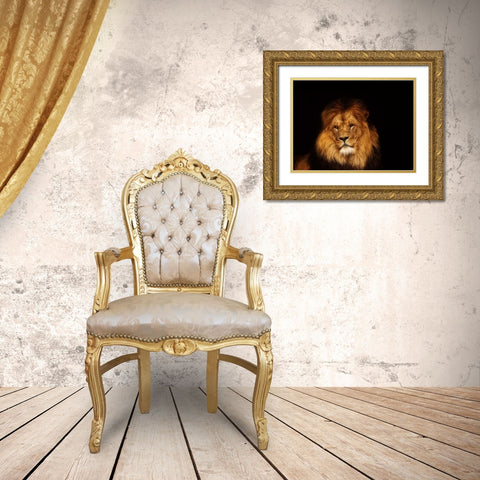 Look My Way Gold Ornate Wood Framed Art Print with Double Matting by Van de Goor, Lars
