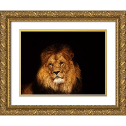Look My Way Gold Ornate Wood Framed Art Print with Double Matting by Van de Goor, Lars