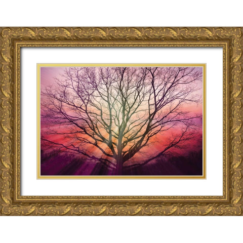 Sunburst Sentinel Gold Ornate Wood Framed Art Print with Double Matting by Weisz, Irene
