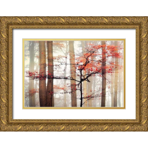 Orange Awakening Gold Ornate Wood Framed Art Print with Double Matting by Weisz, Irene