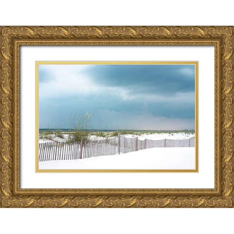 Sunset Isle I Gold Ornate Wood Framed Art Print with Double Matting by Delimont, Danita