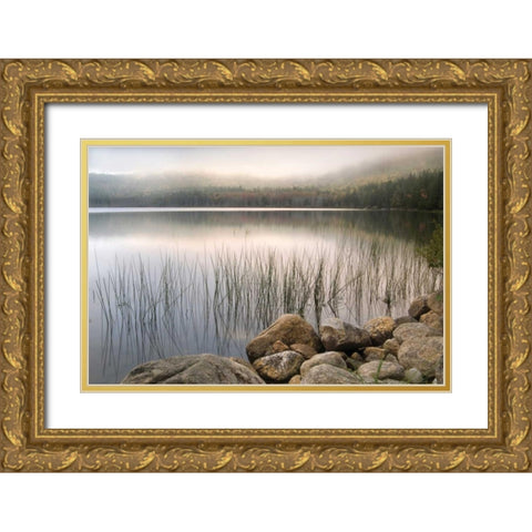 Wanderlust Gold Ornate Wood Framed Art Print with Double Matting by Delimont, Danita
