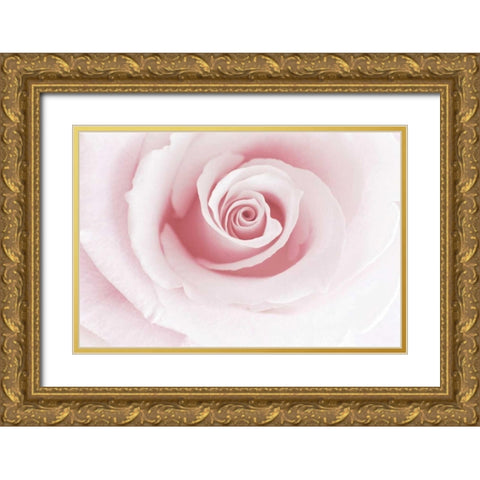 Rose Embrace Gold Ornate Wood Framed Art Print with Double Matting by Delimont, Danita