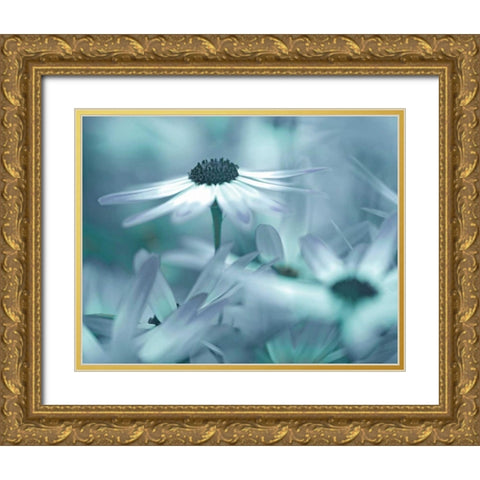 Moment in the Sun Gold Ornate Wood Framed Art Print with Double Matting by Delimont, Danita