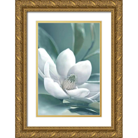 Magnolia Morning Gold Ornate Wood Framed Art Print with Double Matting by Delimont, Danita