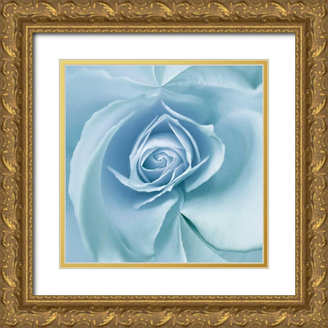 Blue Embrace Gold Ornate Wood Framed Art Print with Double Matting by Delimont, Danita