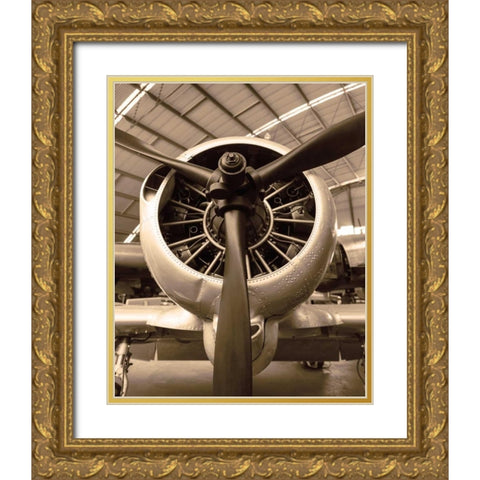 WW II Fighter Gold Ornate Wood Framed Art Print with Double Matting by Delimont, Danita