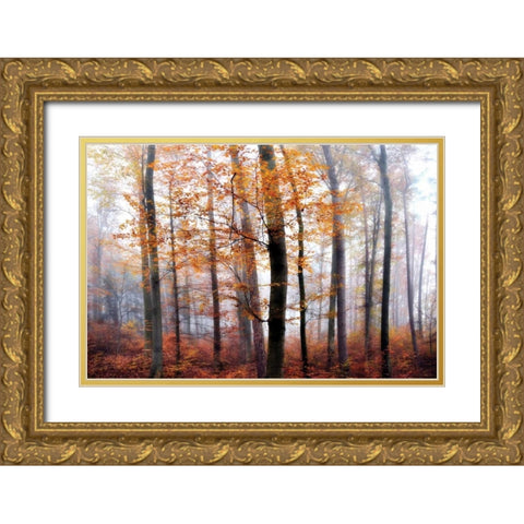 Lost in the Forest Gold Ornate Wood Framed Art Print with Double Matting by Weisz, Irene