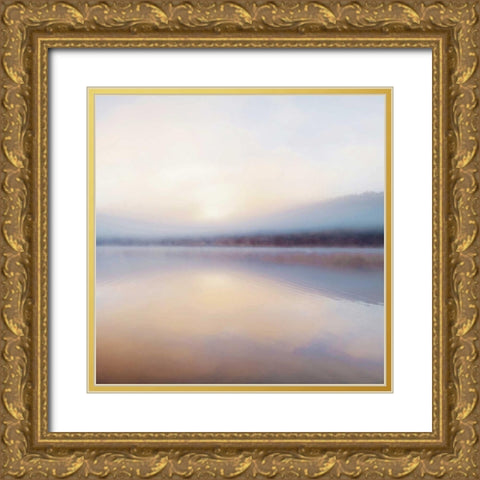 Patagonia II Gold Ornate Wood Framed Art Print with Double Matting by Delimont, Danita