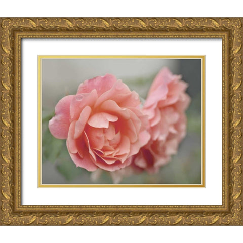 Cottage Climber Gold Ornate Wood Framed Art Print with Double Matting by Delimont, Danita