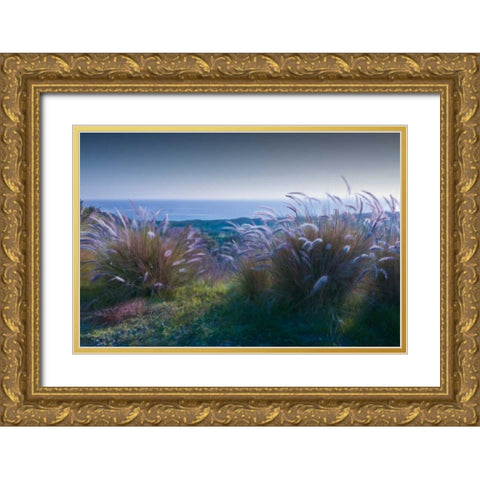 Above Mailbu Gold Ornate Wood Framed Art Print with Double Matting by Calascibetta, Mike