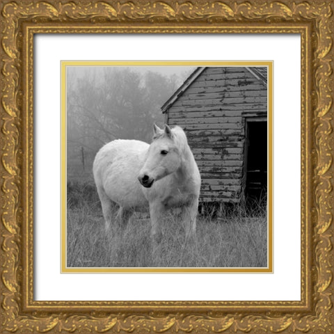 Morning Pasture Gold Ornate Wood Framed Art Print with Double Matting by Robinson, Carol