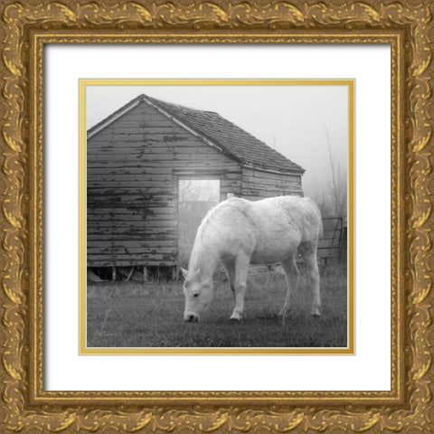 Misty Pasture Gold Ornate Wood Framed Art Print with Double Matting by Robinson, Carol