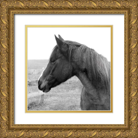 Catch Your Eye Gold Ornate Wood Framed Art Print with Double Matting by Robinson, Carol