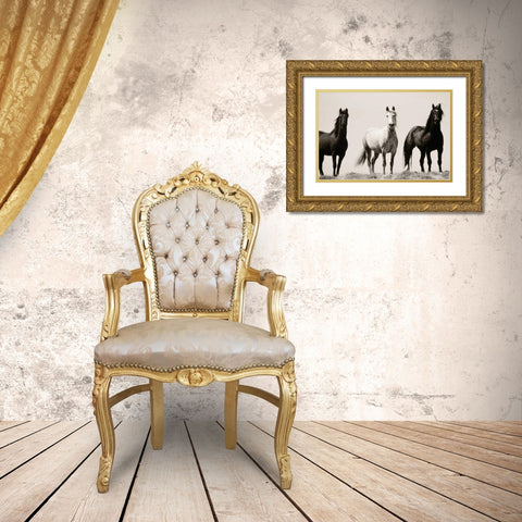 Wild Stallions Gold Ornate Wood Framed Art Print with Double Matting by Delimont, Danita