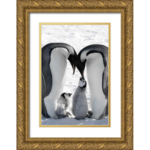 Snow Hill Island Family Gold Ornate Wood Framed Art Print with Double Matting by Delimont, Danita