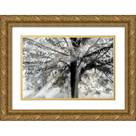 Story From Light and Gold Ornate Wood Framed Art Print with Double Matting by Weisz, Irene