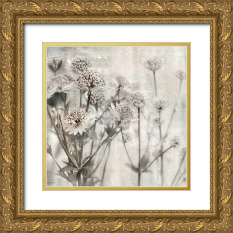 Natural Ones I Gold Ornate Wood Framed Art Print with Double Matting by Weisz, Irene