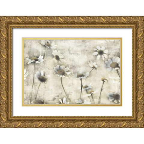 Wild Daisy Meadow II Gold Ornate Wood Framed Art Print with Double Matting by Weisz, Irene