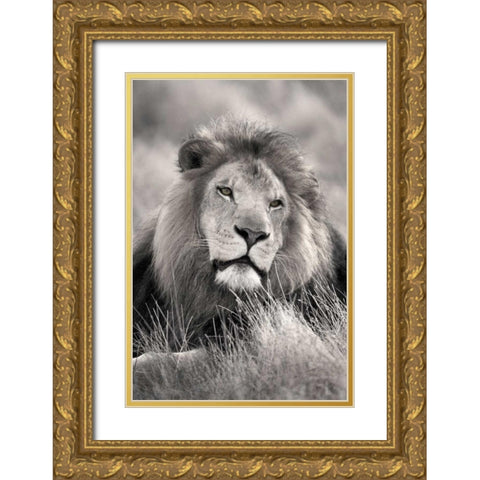 Pride of the Gold Ornate Wood Framed Art Print with Double Matting by Delimont, Danita
