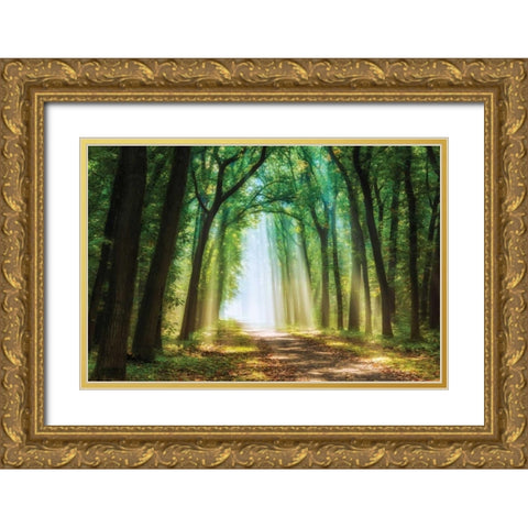 Curtain of Gold Ornate Wood Framed Art Print with Double Matting by Van de Goor, Lars