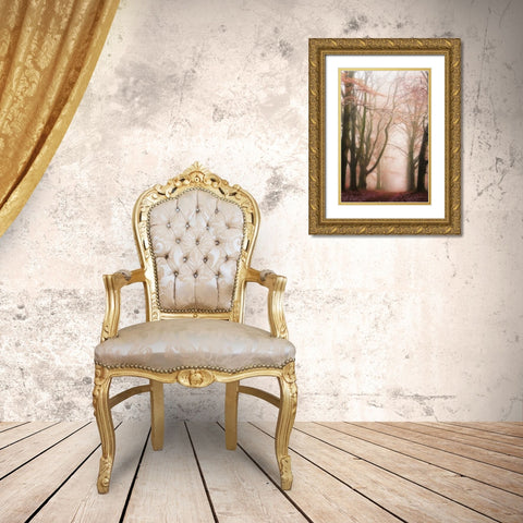 Pink Avenue Gold Ornate Wood Framed Art Print with Double Matting by Van de Goor, Lars