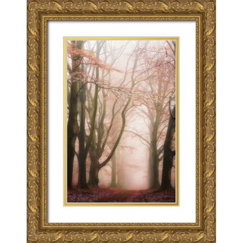 Pink Avenue Gold Ornate Wood Framed Art Print with Double Matting by Van de Goor, Lars