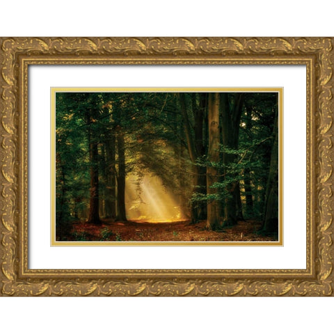 Shine On Gold Ornate Wood Framed Art Print with Double Matting by Van de Goor, Lars