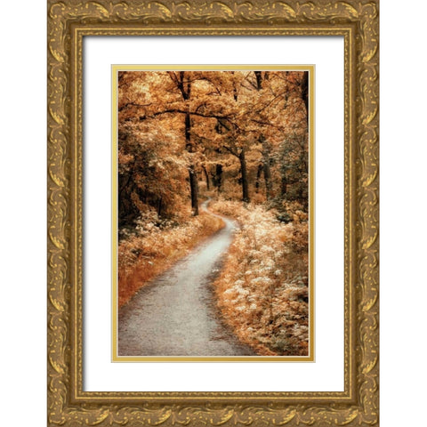 Winding Path Gold Ornate Wood Framed Art Print with Double Matting by Van de Goor, Lars