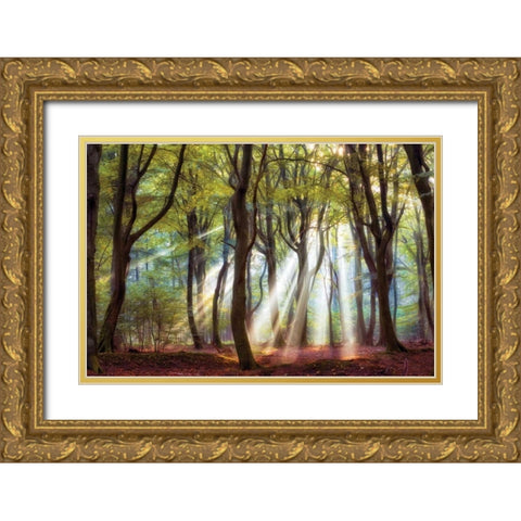 Majestic Gold Ornate Wood Framed Art Print with Double Matting by Van de Goor, Lars