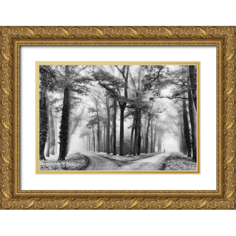 Turning Left Gold Ornate Wood Framed Art Print with Double Matting by Van de Goor, Lars