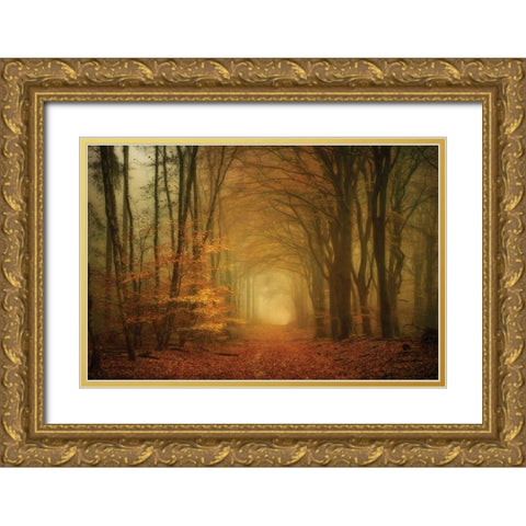 Early Light Gold Ornate Wood Framed Art Print with Double Matting by Van de Goor, Lars