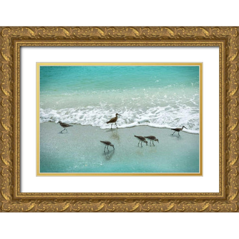 Sandpiper Beach Party Gold Ornate Wood Framed Art Print with Double Matting by Nan