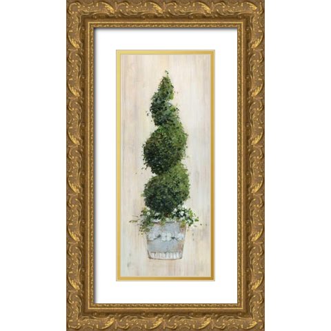 Spiral Topiary Gold Ornate Wood Framed Art Print with Double Matting by Swatland, Sally