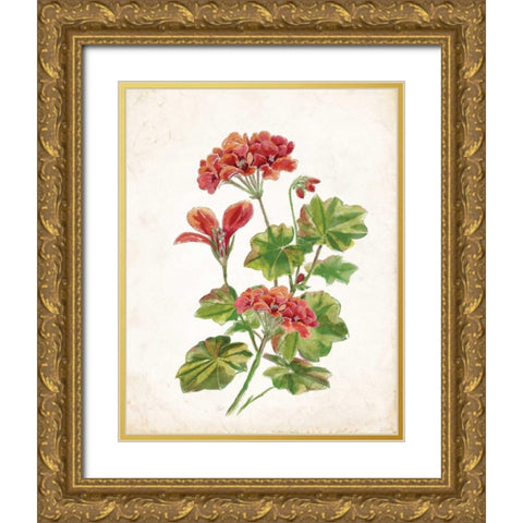 Scarlet Botanical II Gold Ornate Wood Framed Art Print with Double Matting by Nan