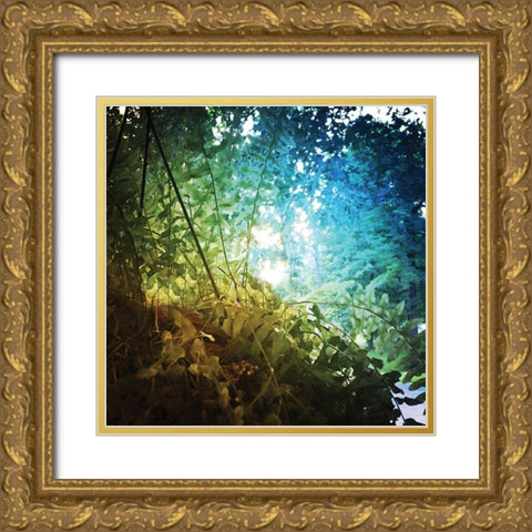Rainbow Fern Gold Ornate Wood Framed Art Print with Double Matting by Nan