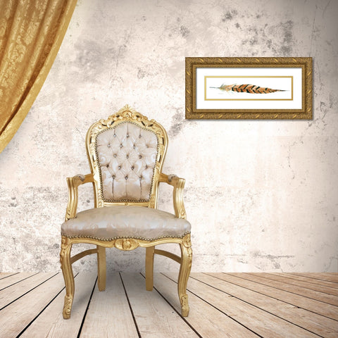 Tail Feather I Gold Ornate Wood Framed Art Print with Double Matting by Robinson, Carol