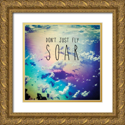 Soar Gold Ornate Wood Framed Art Print with Double Matting by Delimont, Danita