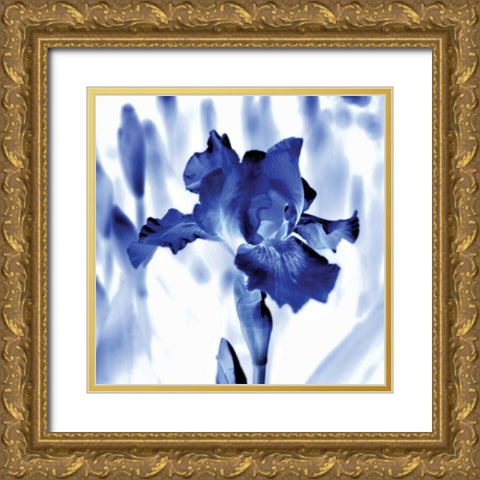 Blue Ice Iris Gold Ornate Wood Framed Art Print with Double Matting by Donovan, Kelly