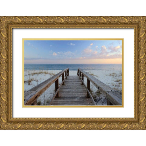 Pensacola Sunset Gold Ornate Wood Framed Art Print with Double Matting by Delimont, Danita