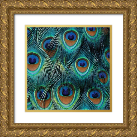 All For Show Gold Ornate Wood Framed Art Print with Double Matting by Delimont, Danita