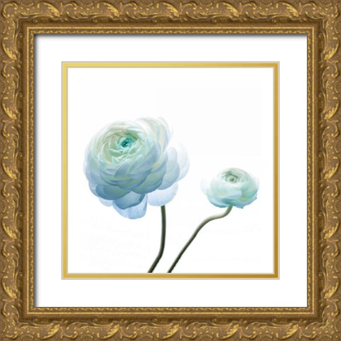 Gorgeous Blue I Gold Ornate Wood Framed Art Print with Double Matting by Delimont, Danita
