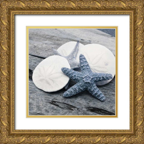 Driftwood Shell IV Gold Ornate Wood Framed Art Print with Double Matting by Delimont, Danita