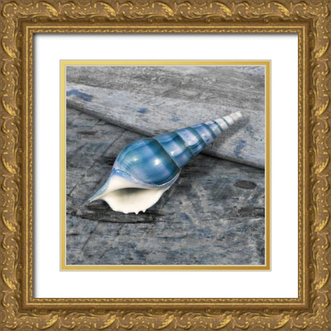 Driftwood Shell V Gold Ornate Wood Framed Art Print with Double Matting by Delimont, Danita