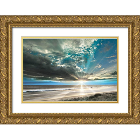 Pacific Coast Gold Ornate Wood Framed Art Print with Double Matting by Delimont, Danita