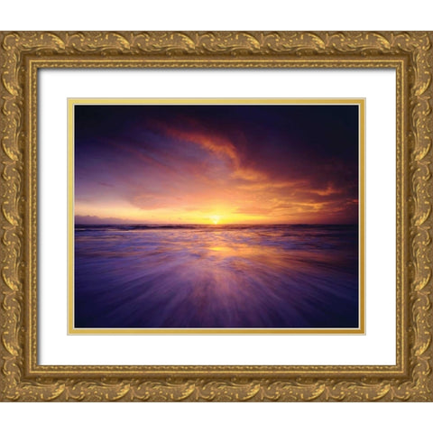 Regal Ocean Gold Ornate Wood Framed Art Print with Double Matting by Delimont, Danita