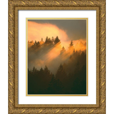 Morning Amber Gold Ornate Wood Framed Art Print with Double Matting by Delimont, Danita