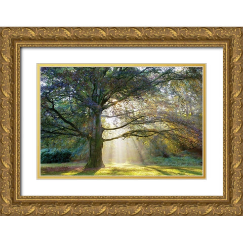 The Natural Gold Ornate Wood Framed Art Print with Double Matting by Van de Goor, Lars